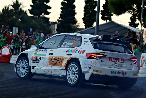 campedellidia124