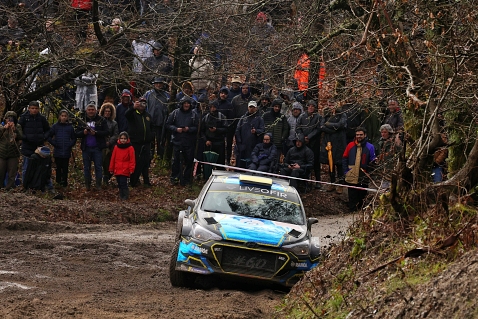 fafe2soltas